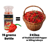 Innovatronix 100% Pure Carolina Reaper Pepper Powder (0.53 oz / 15 grams each) | World's Hottest Pepper | Box of 20 or Box of 100